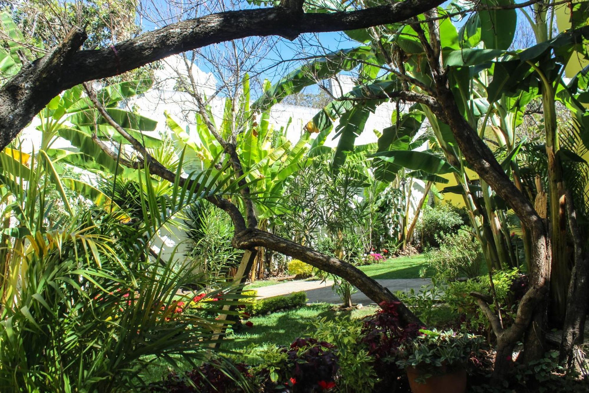 Отель Jardines De Luz Сан-Кристобаль-де-Ла-Касас Экстерьер фото